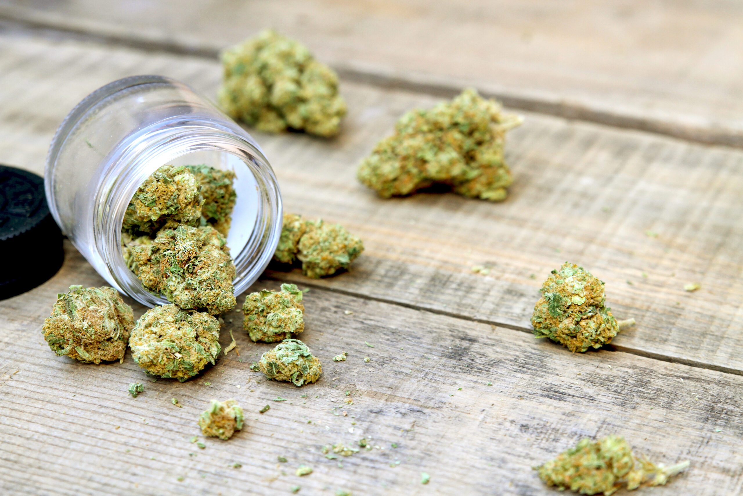 Premium Cannabis Products